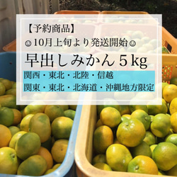 長崎産・早出しみかん５kg《送料無料》【関西・東海・北陸信越・関東・東北・北海道・沖縄限定】 1枚目の画像