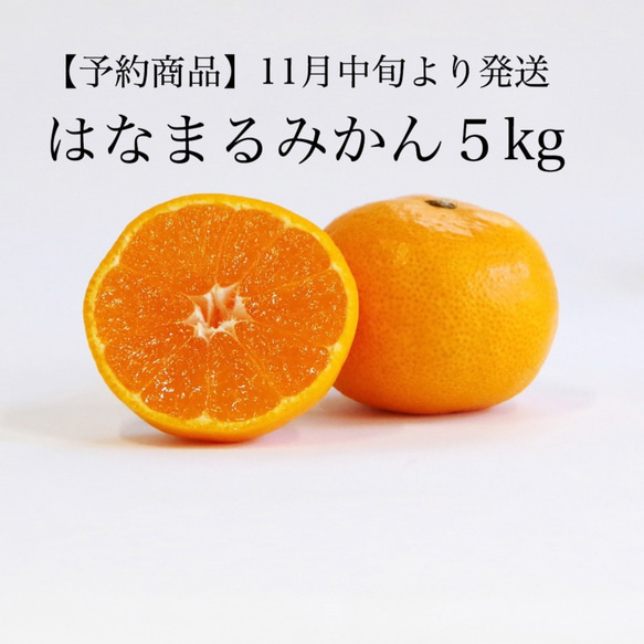 長崎産はなまるみかん5kg 果物（フルーツ） はなまる果樹園 通販