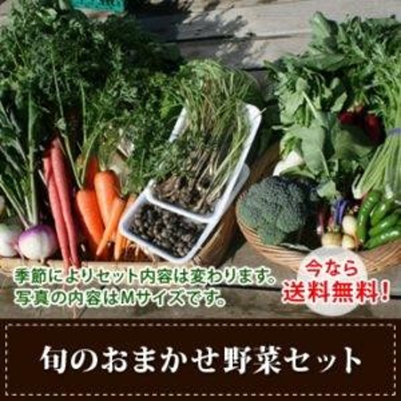【送料無料】旬のおまかせ野菜セット　Mサイズ 1枚目の画像