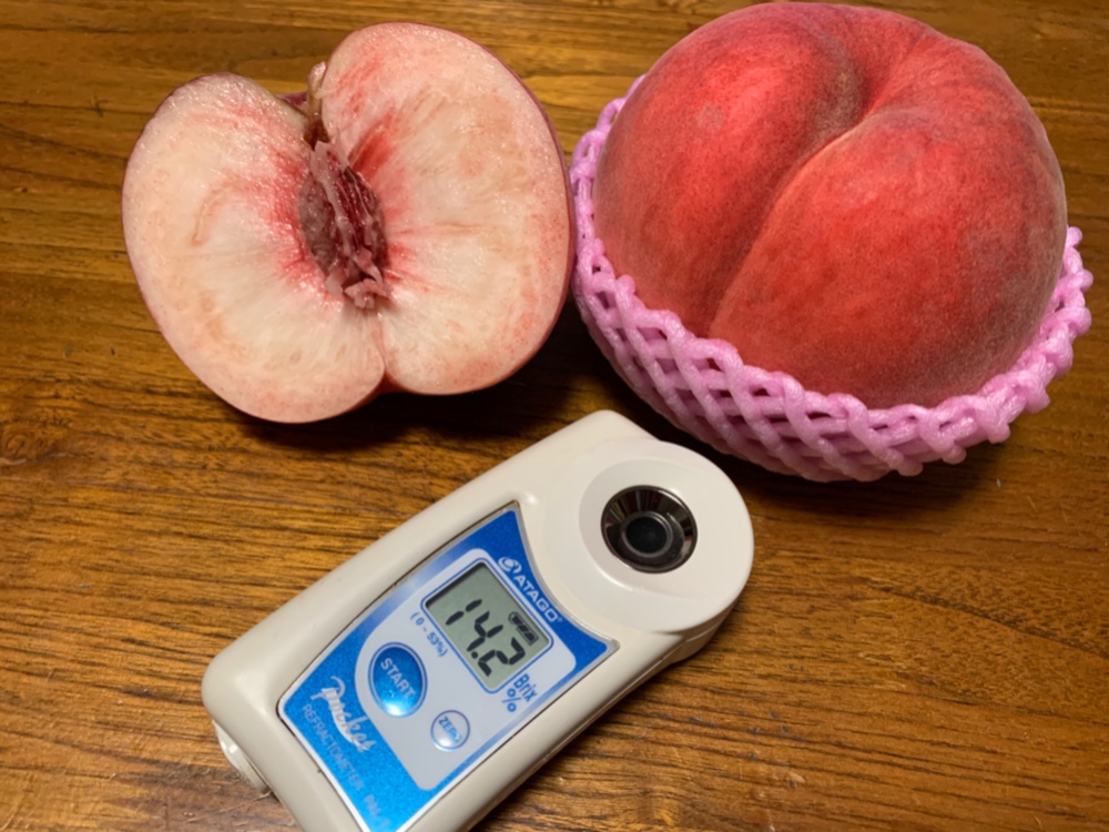 新鮮 硬い桃 4kg 8個入り Amazon.co.jp: もも 硬い桃 8月中旬頃から発送 山形県