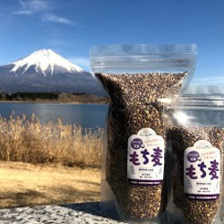富士山の麓　富士宮産　自然栽培　もち麦(玄麦/ダイシモチ）3kg 1枚目の画像
