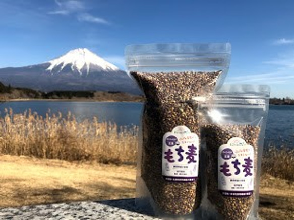 富士山の麓　富士宮産　自然栽培　もち麦(玄麦/ダイシモチ）3kg 1枚目の画像