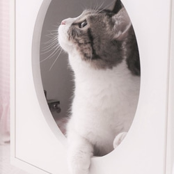 オーダーメイド 職人手作り 猫家具 キャットハウス 猫ベット インテリア おうち時間 白家具 天然木 無垢材 家具 LR 2枚目の画像