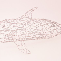 イルカ 3枚目の画像