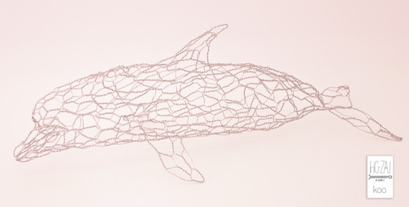 イルカ 3枚目の画像