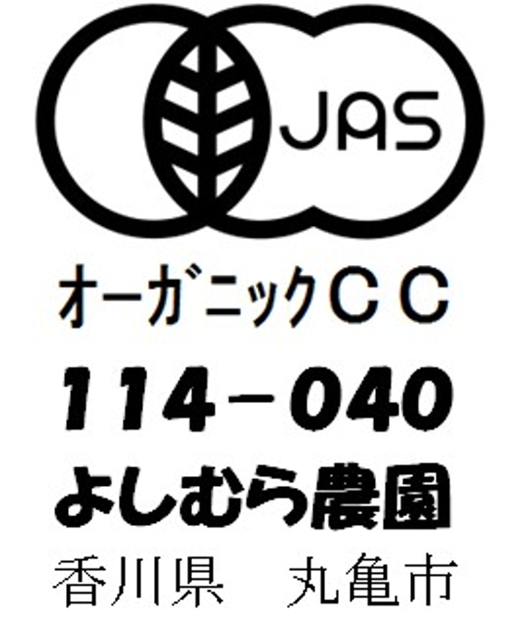 季節の有機野菜セット＜ライト＞ 2枚目の画像