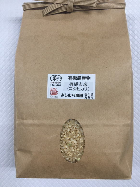 有機玄米（コシヒカリ）１ｋｇ香川産／2021年産 1枚目の画像
