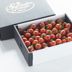 ④贈答用【希少な高濃度フルーツトマト】ソムリエミニトマト　プラチナ３kg 1枚目の画像