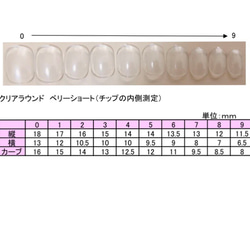 べっ甲ネイルチップ　秋ネイル　ニュアンスネイル 6枚目の画像