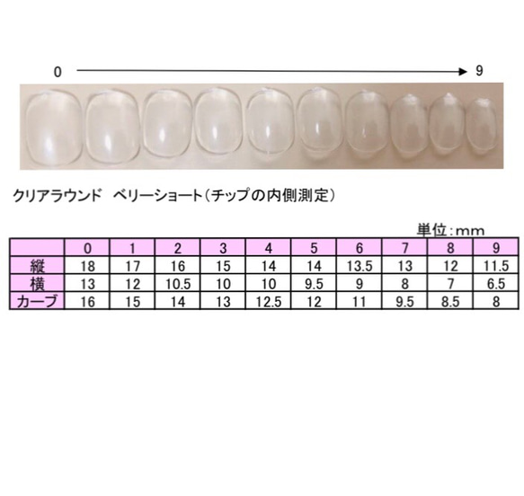 べっ甲ネイルチップ　秋ネイル　ニュアンスネイル 6枚目の画像