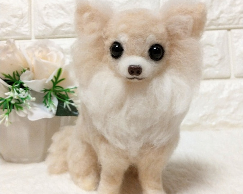 羊毛フェルト犬 チワワ / ロングコートチワワ クリーム 羊毛
