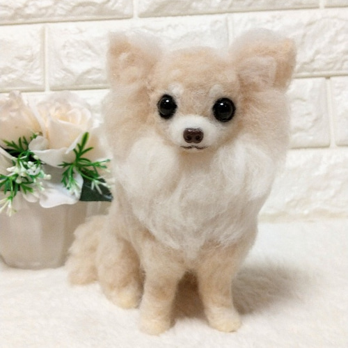 ロングコートチワワ（クリーム）の羊毛フェルト 犬 羊毛フェルト