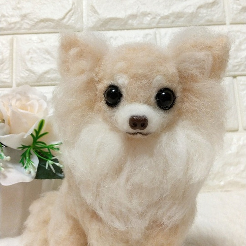 羊毛フェルト犬 チワワ / ロングコートチワワ クリーム 羊毛