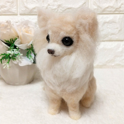 羊毛フェルト犬 チワワ / ロングコートチワワ クリーム 羊毛