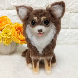 羊毛フェルト犬 チワワ / ロングコートチワワチョコタン 羊毛フェルト