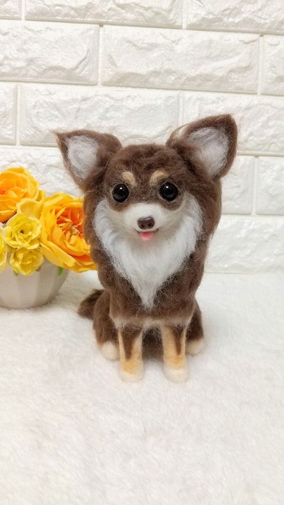 羊毛フェルト犬 チワワ / ロングコートチワワチョコタン 羊毛