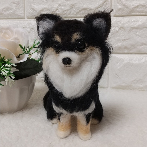羊毛フェルト犬 チワワ ブラックタン 羊毛フェルト 優しい香り