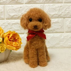 羊毛フェルトオーダー確認用。トイプードルレッドちゃん♡実物大。 ご専用ページ♡羊毛フェルト 犬 トイプードル レッド 笑顔の