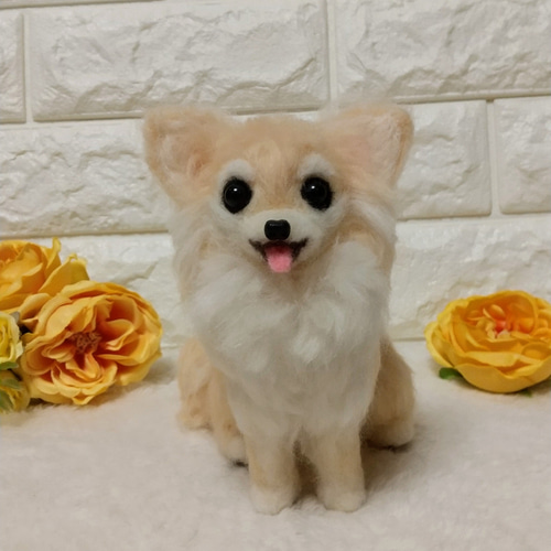羊毛フェルト犬 ロングコートチワワ クリーム / チワワぬいぐるみ