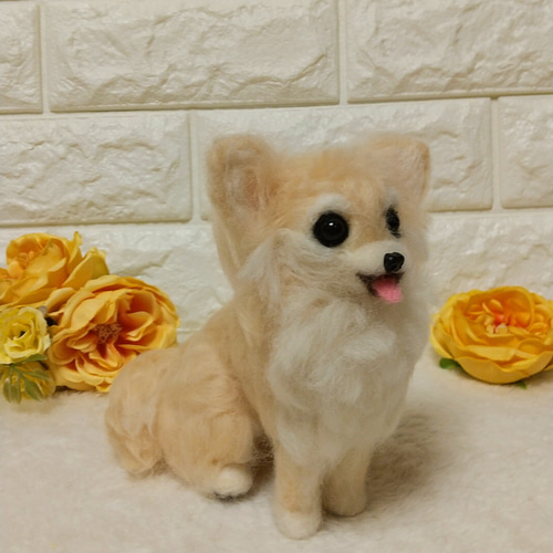 羊毛フェルト犬 ロングコートチワワ クリーム / チワワぬいぐるみ
