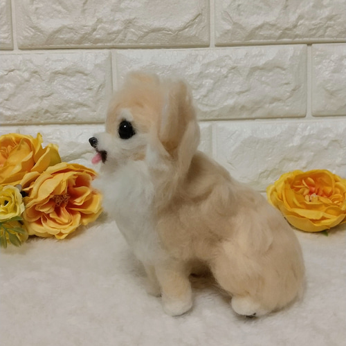 羊毛フェルト犬 ロングコートチワワ クリーム / チワワ 羊毛フェルト犬 ロングコートチワワ クリーム / チワワ