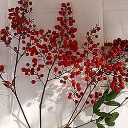 【予約中】色鮮やか『南天の実』自然素材　縁起もの　花材　クリスマス　正月飾り 1枚目の画像