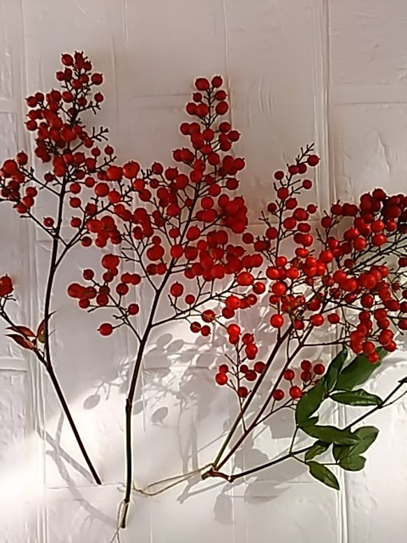【予約中】色鮮やか『南天の実』自然素材　縁起もの　花材　クリスマス　正月飾り 1枚目の画像