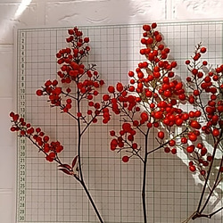 【予約中】色鮮やか『南天の実』自然素材　縁起もの　花材　クリスマス　正月飾り 4枚目の画像