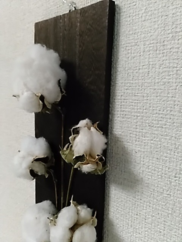 『ナチュラル標本』自然の恵み　植物と畳縁の壁掛け　オールシーズン飾れる　正月飾り　和モダン　ボタニカル　スワッグ 9枚目の画像