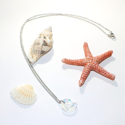 sea-snailネックレス  Silver スワロフスキー 3枚目の画像