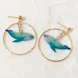 受注制作】くじら ピアス イヤリング マスクチャーム 海の生き物