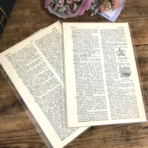 洋書切り離し・ヴィンテージ/アンティークな洋書ペーパー・辞書