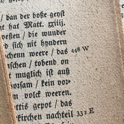 ドイツ語＆ヒゲ文字が素敵！こんがり焼けた洋古書30枚 4枚目の画像