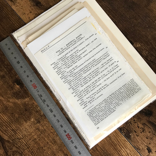 307 ヴィンテージ イギリス 洋書 古書 原書 英字ペーパー