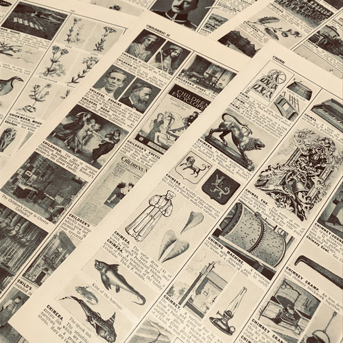 洋書切り離し「I・SEE・ALL」30枚 コラージュ素材に その他素材