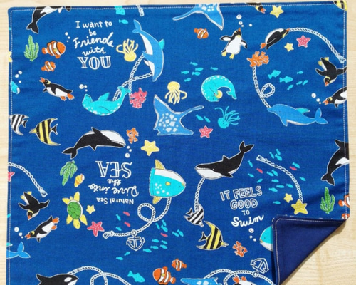 1_48bc68b91fe39a26ca2b84562755