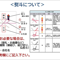  第6張的照片