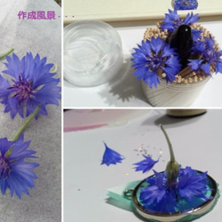 矢車菊（生花）のグラスホルダー 4枚目の画像