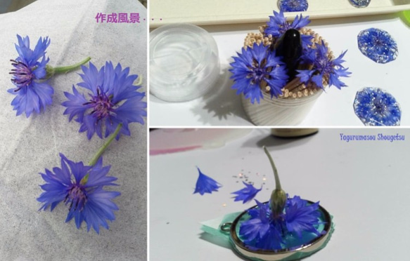 矢車菊（生花）のグラスホルダー 4枚目の画像