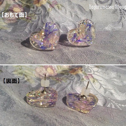 矢車菊（生花）のスタッドピアス（Miniハート型） 3枚目の画像