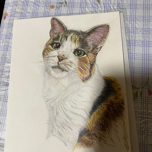 色鉛筆画、鉛筆画のオーダーお受けしております 絵画 羊毛 色鉛筆画、鉛筆画のオーダーお受けしております 絵画 羊毛