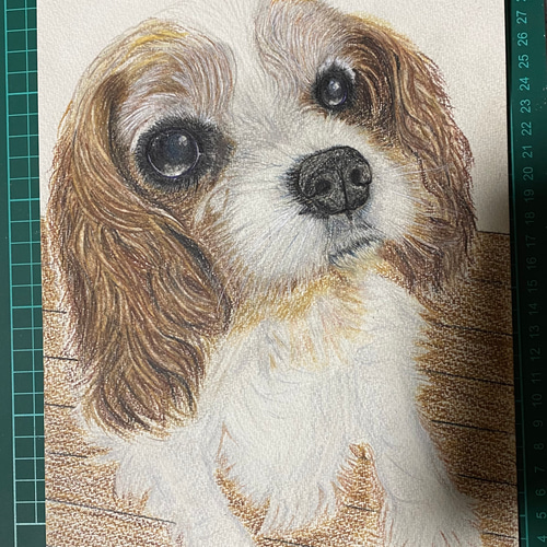 色鉛筆画、鉛筆画のオーダーお受けしております 絵画 羊毛