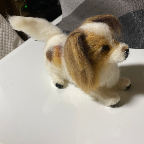 羊毛フェルトのパピヨンくんです その他素材 羊毛フェルト色鉛筆