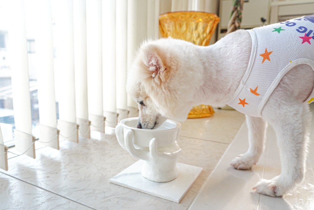 インテリアオブジェにもなるドッグフードスタンド　ペットボウル　食器スタンド　小型犬　中型犬　ネコ　オーダー可能