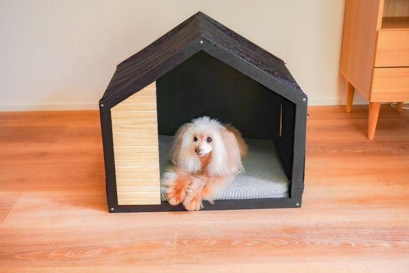 選べるクッション!モダンペットハウス　ブラックフレーム　木製　犬小屋　犬　猫　オーダー可能 1枚目の画像