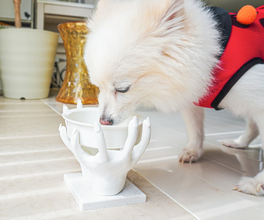 インテリアオブジェにもなるドッグフードスタンド　ペットボウル　食器スタンド　小型犬　中型犬　ネコ　オーダー可能