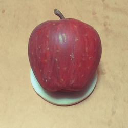 りんごスターキング 3枚目の画像