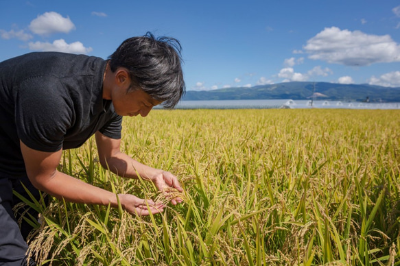 北海道産特別栽培米ゆめぴりか５ｋｇ 3枚目の画像