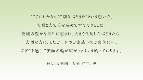 【送料無料】秋ぶどう人気の３種Aセット　約２kg（9月上旬〜9月20日発送） 7枚目の画像