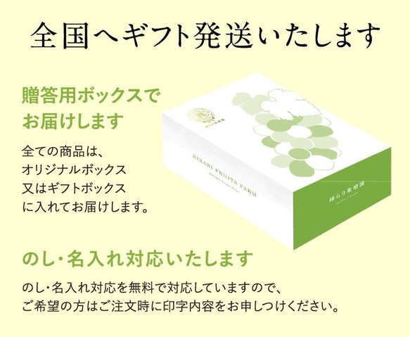 【送料込】秋ぶどう　シャインマスカット２房入り　ギフト（約1.2kg）（9月上旬〜9月20日に順次発送） 5枚目の画像